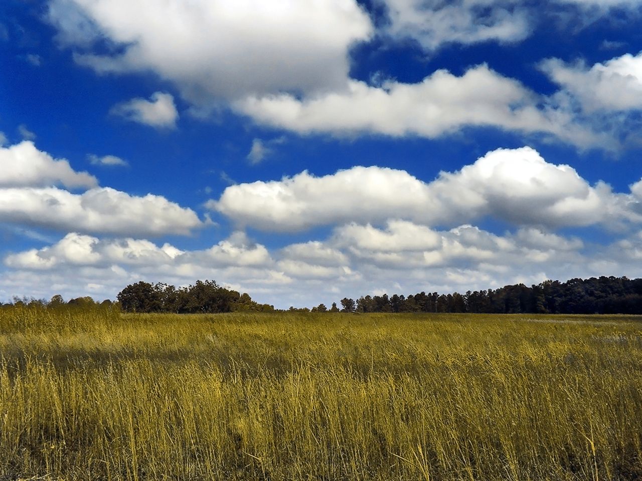 Nubes de primavera. Cúmulos y cumulonimbos